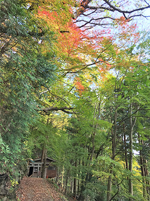 赤岩尾神社の紅葉