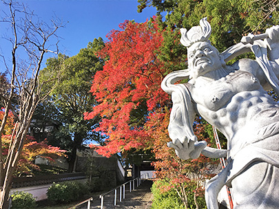 西蓮寺の紅葉