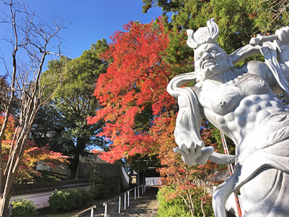 西蓮寺の紅葉